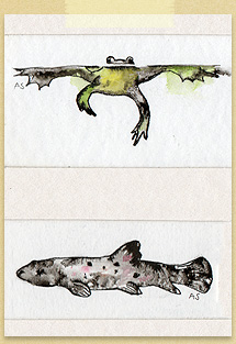 Frog and Fish by Anna Shuttlewood