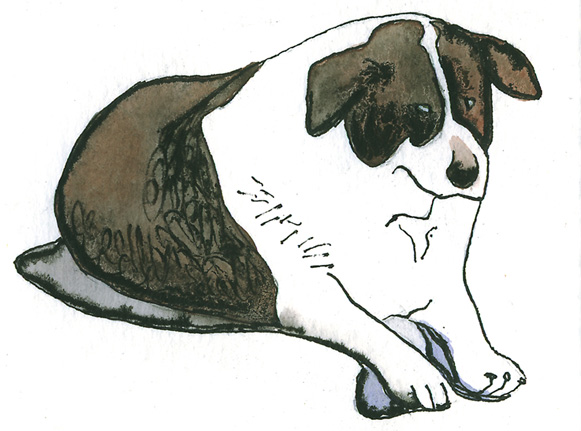 Lazy Dog big