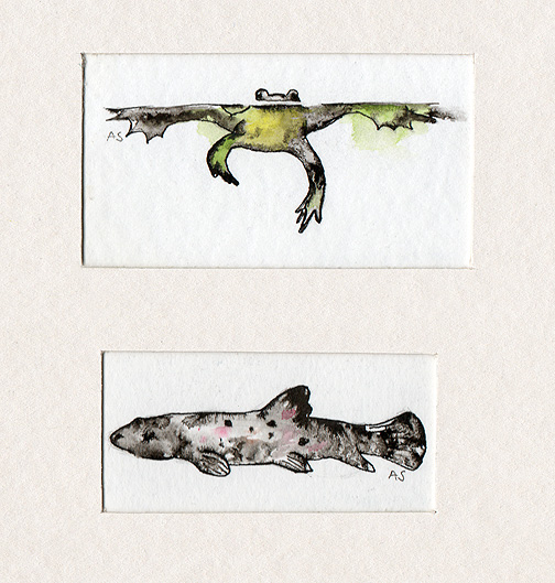 Frog and Fish big